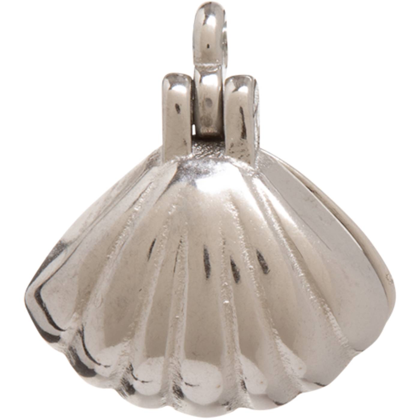 Seashell & Pearl - 2