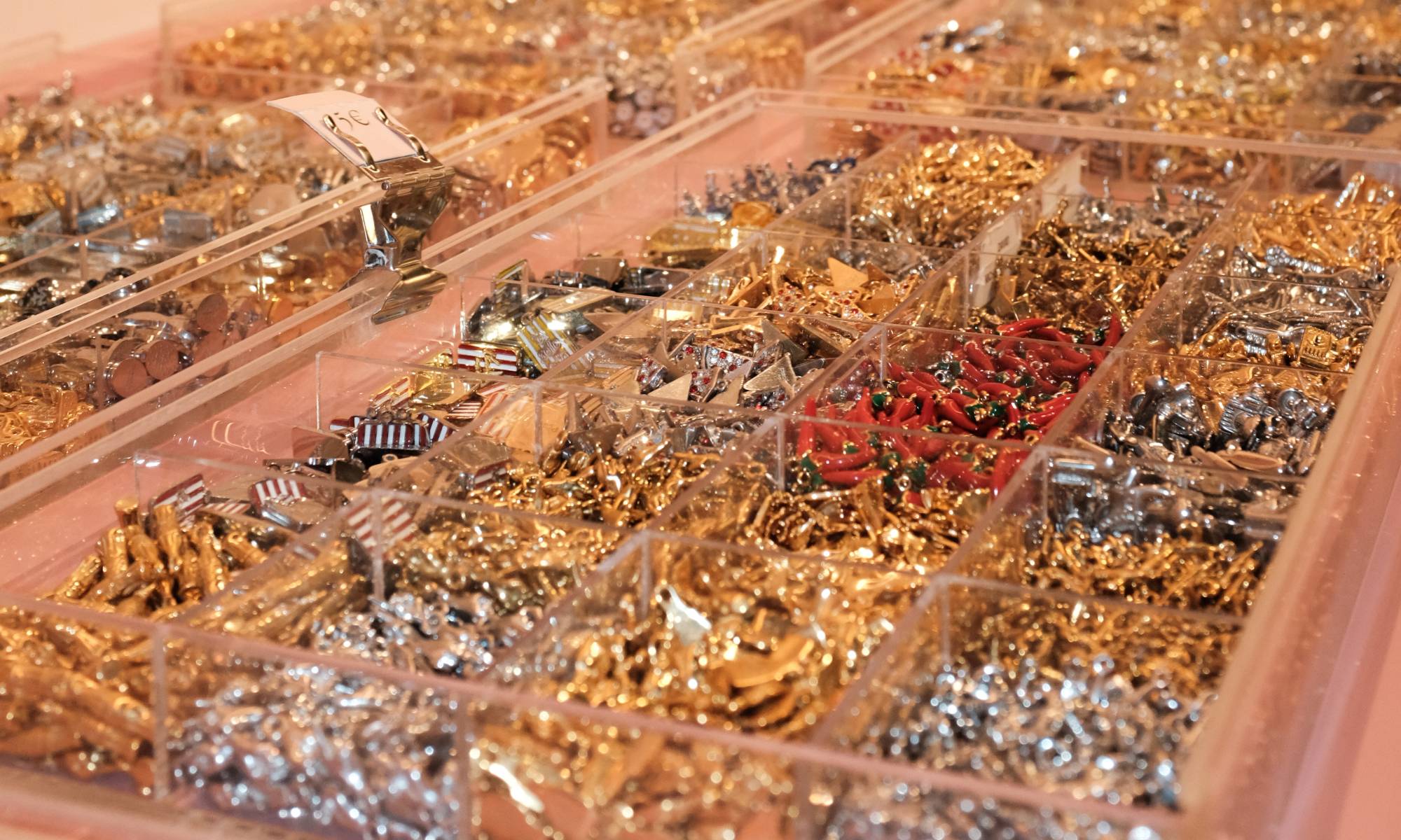 Collezione Paolina Roma