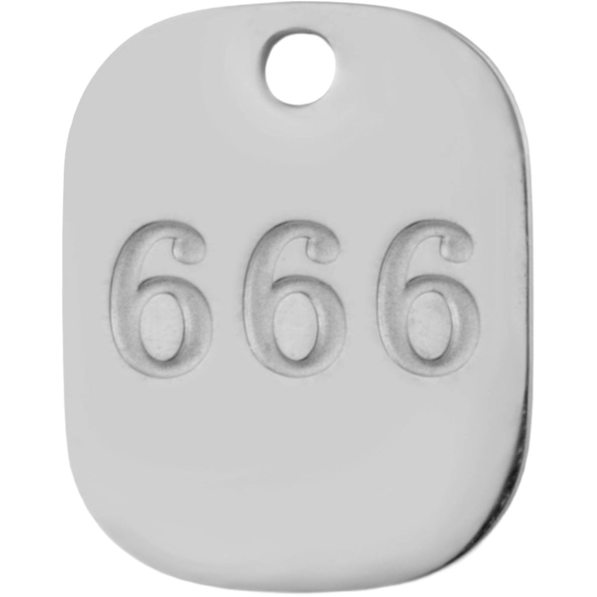 Silver 666 "Reflection"