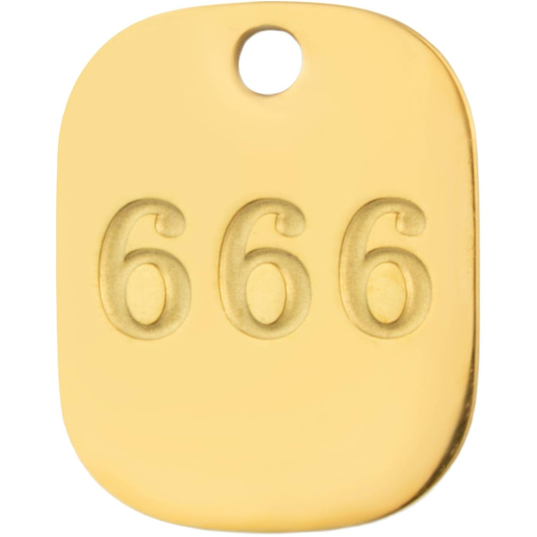 666 "Reflection"