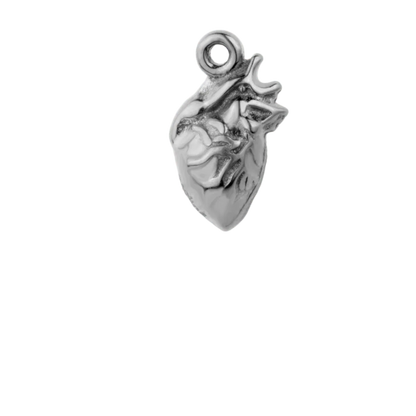 Silver Anatomic Heart (configurator)