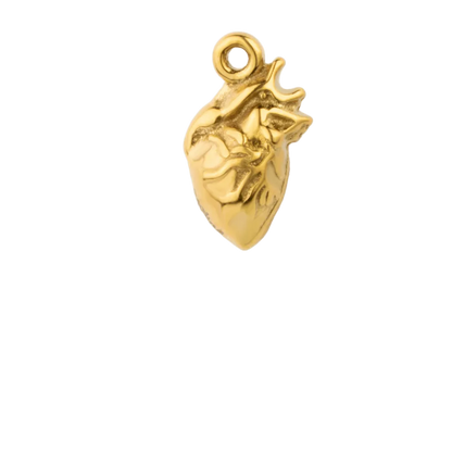 Gold Anatomic Heart (configurator)
